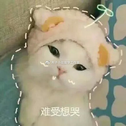 download.jpg