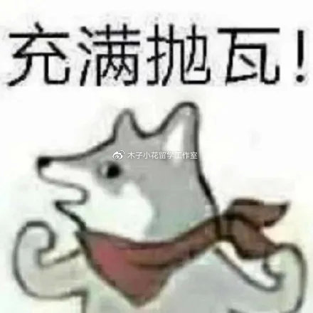 031139567883.jpg