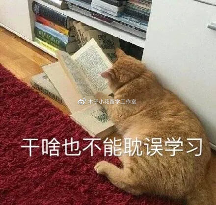 031139562583.jpg