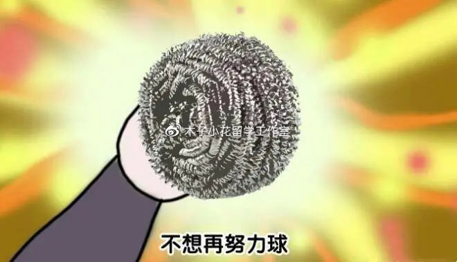 261356501348.jpg