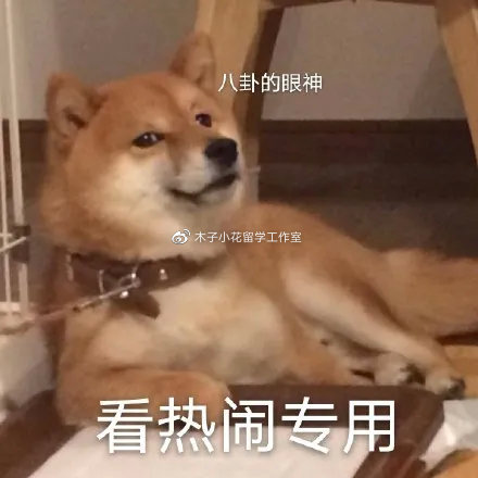 download.jpg