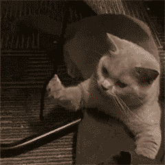 021043139911.gif