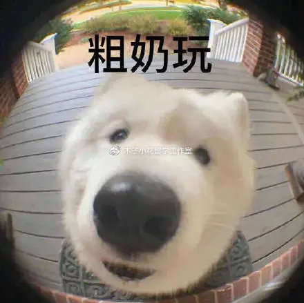 101336191031.jpg