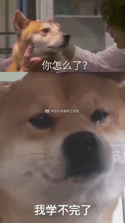 121640146603.jpg