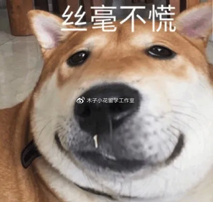 121640145347.jpg